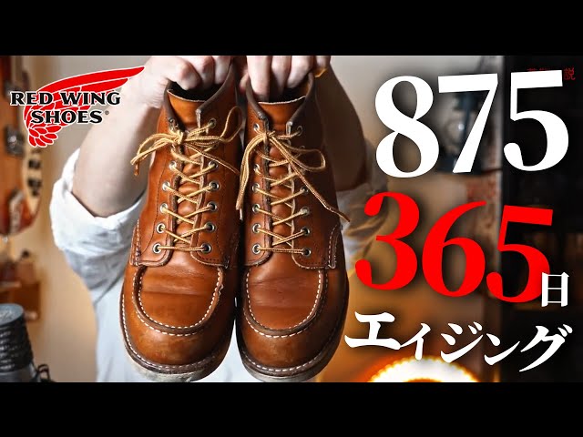 レッドウィング】雨専用の875弐号機の365日エイジング・リバイバル版