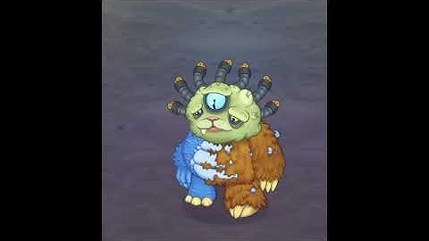 Nitebear in Composer!