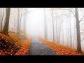 Early Autumn Mornings- Indie/Folk/Mellow Playlist, 2020