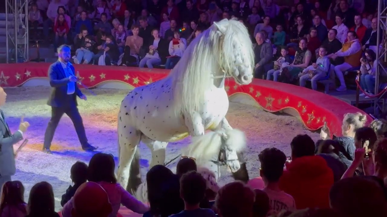 Magyar Nemzeti Cirkusz, 30 éves jubileum