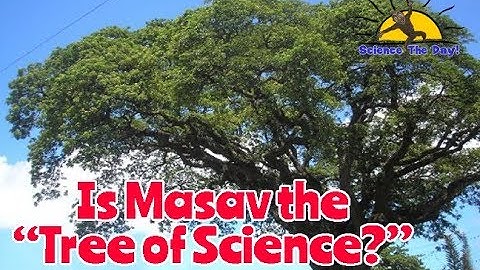 Is Masav "The Tree of Science?"