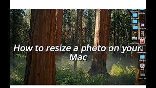 How to Resize a Photo on Mac Using Preview