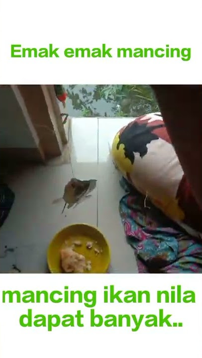 Mancing ambyar || fishing mania#Shorts
