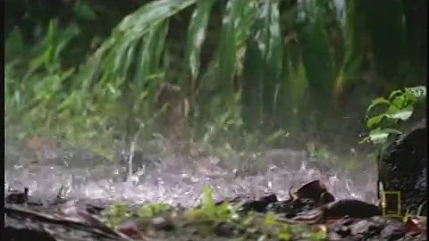 Genesis Black Superheroes Revised Concept Video