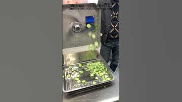 Fully automatic stainless steel cucumber slicer #cucumber #slicing #machine