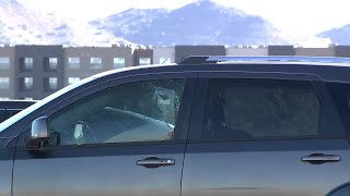 ICE officials involved in shooting during traffic stop on I-17 near Dove Valley