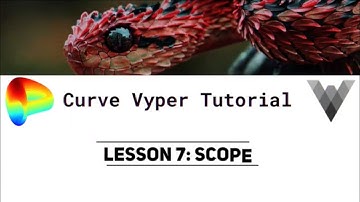 Curve Vyper Tutorial Lesson 7 - Scope