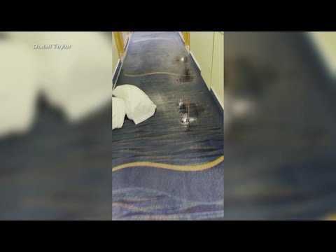 Passengers share terrifying