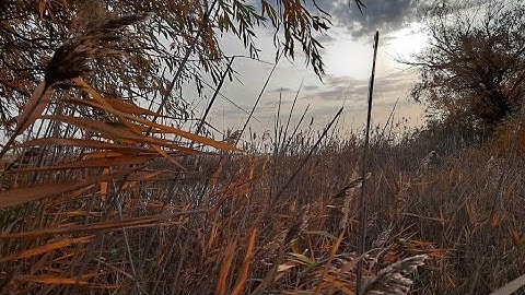 Не рыбалка, а сказка. ОСЕННИЙ ЖОР. Новое место радует, а караси не дают продыху и клюют как бешеные.