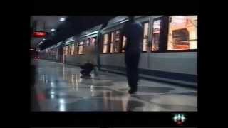 Cebo Video Tve And Shune