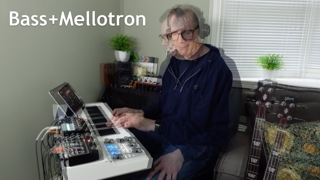 Building Boss RE-202 Space Echo Sound-On-Sound Looping | Bass + Mellotron Ambient Frippertronics