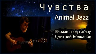 Чувства_Animal Jazz_Вариант - Д.Волканов (Dmitry Volcano)