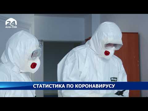 В Кыргызстане за сутки выявили 190 новых случаев внебольничной пневмонии и COVID-19