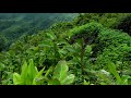 HAV 動画写真2b