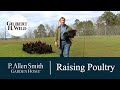 Passion for Raising Poultry | Garden Home (1103)