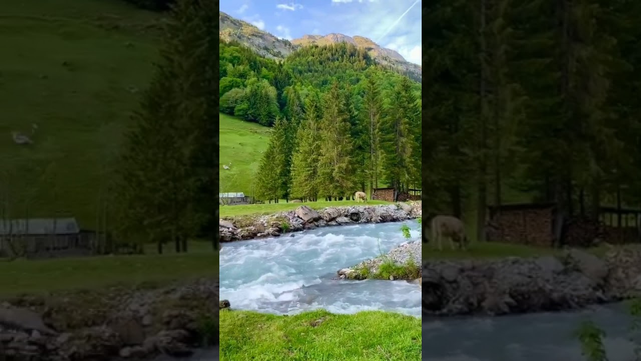 Beautiful nature status YouTube