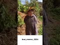 هاد دراري صغار ضسرو ههه
