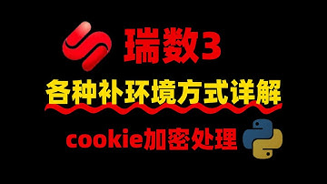 详解【瑞数3】—cookie加密分析与处理，瑞数的各种补环境方式讲解丨Python爬虫逆向进阶