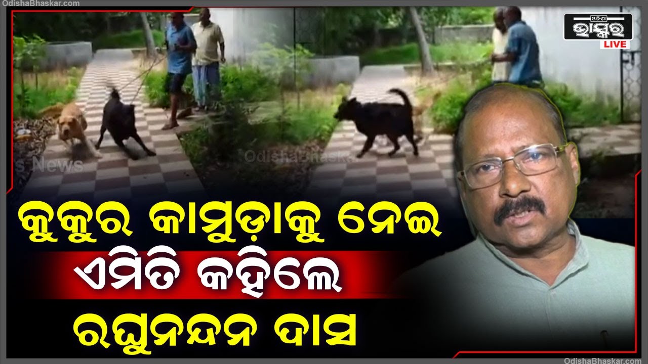 କୁକୁର ଛାଡ଼ିବା ଅଭିଯୋଗକୁ ଖଣ୍ଡନ କଲେ ରଘୁନନ୍ଦନ ଦାସ, କହିଲେ ''ମୁଁ ଭାବିଲି କ୍ରିମିନାଲ ପଶି ଆସିଛନ୍ତି ବୋଲି''