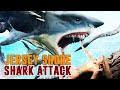 Jersey shore shark attack   film complet en franais requins action comdie 2012