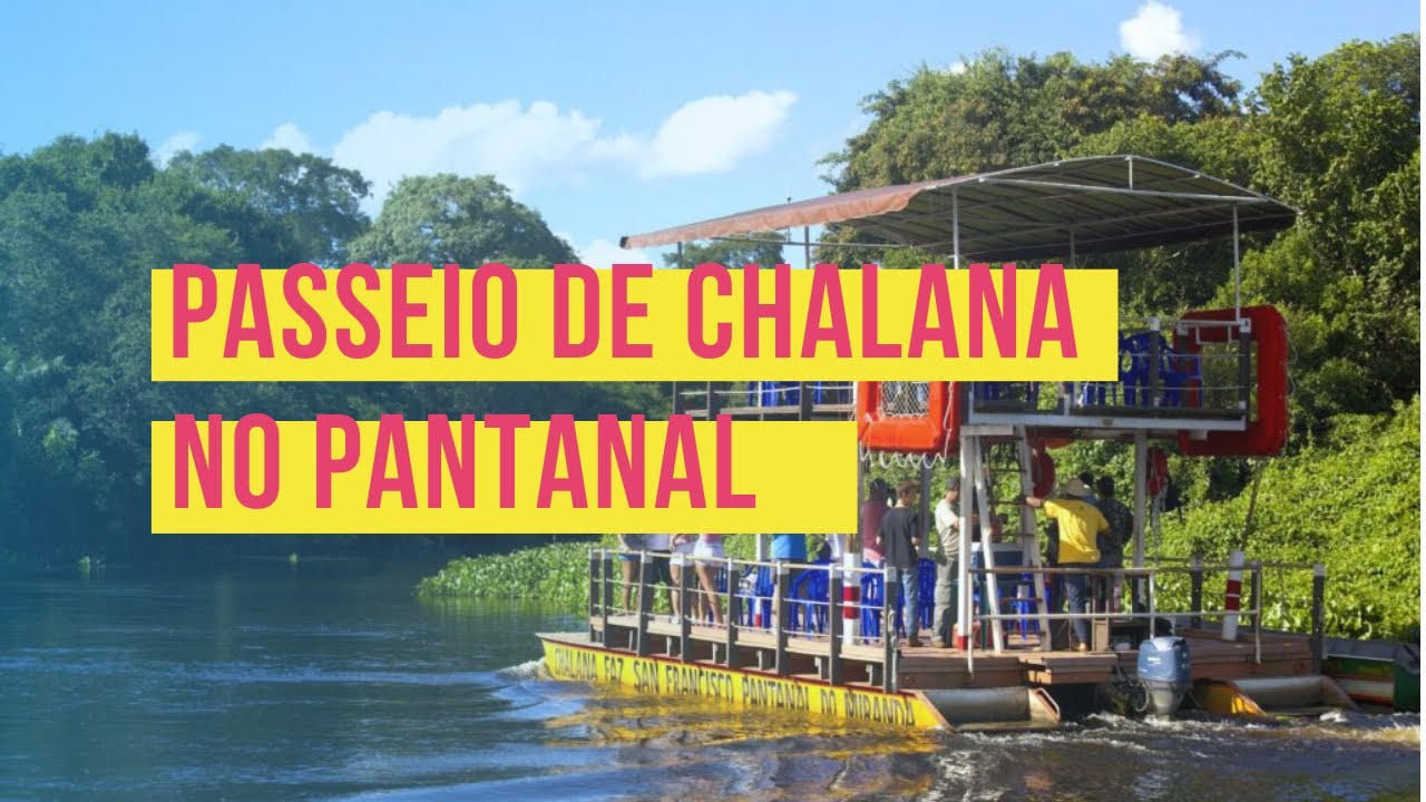 Passeio de CHALANA, no Pantanal! - YouTube