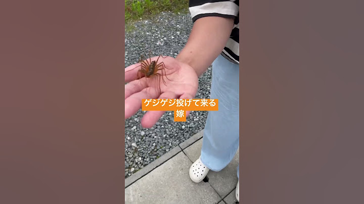 ゲジゲジ投げて来る嫁 #おすすめ ＃ゲジゲジ＃おろちんゆー