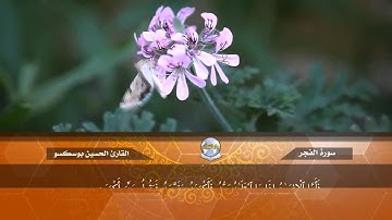 سورة الفجر // القارئ الحسين بوسكسو