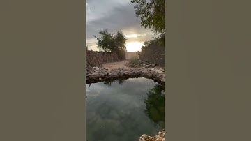 بستان المستظل (أذكار الصباح )# #اكسبلور #دويتو #المسجد_النبوي_الشريف #حب_النبي_يجمعنا