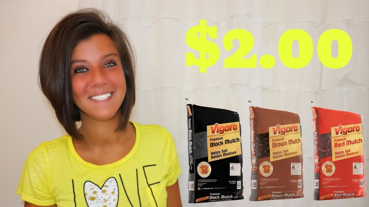 2.00 Vigoro Mulch at Home Depot! YouTube