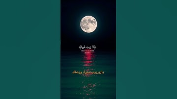 #المصحف #اكسبلور اللهم اجعل القرآن الكريم ربيع قلوبنا ونور صدورنا يارررررب العالمين ⭐
