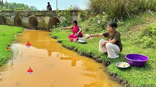 Fishing Video || Two expert cute lady fishing together in the field canal using hooks | hook fishing