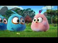 Birb.mp4