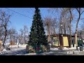 Каток и ледяную горку сделали для жителей Владивостока в парке имени Лазо на Санаторной
