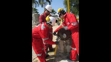 Intelligent Pigging With Video