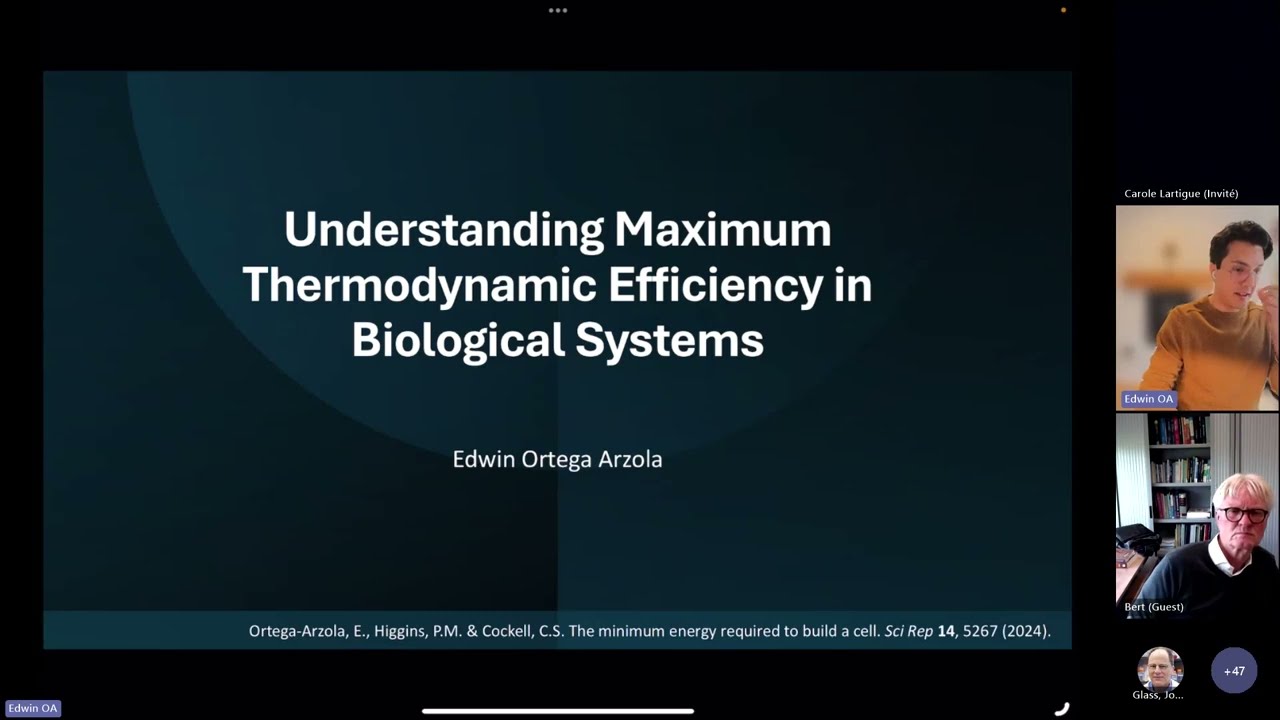 Edwin Ortega Arzola - Understanding Maximum Thermodynamic Efficiency in Biological Systems