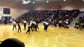 Lady Pirates! RMEC Peprally 2013-2014
