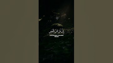 قرآن کری#حالات_واتس #تلاوة_خاشعة #اكسبلور