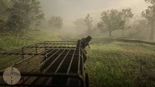 RDR2 PS5 gameplay - 10