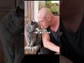 【破壊力】この見た目で猫に甘すぎる男