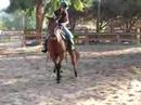 Roxy Sidepassing