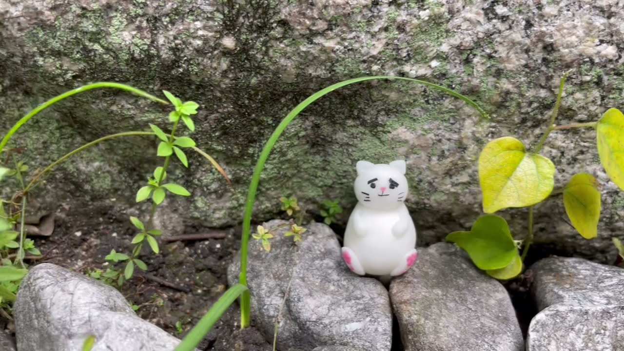 Japanese Moss Garden] Cleaning a Stone Water Basin ｜Satisfying