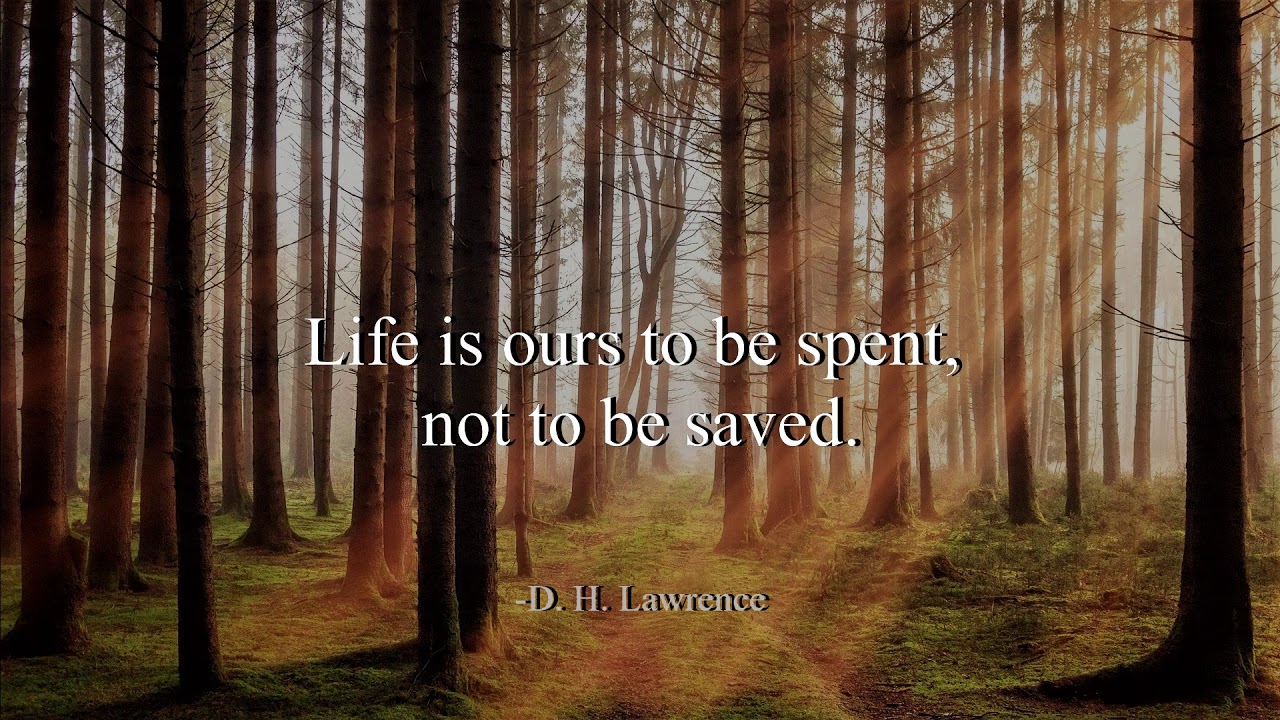 Three Kinds of Suns - Norma Rockwell (No Copyright Music)