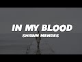 Shawn Mendes - In My Blood (Lyrics)