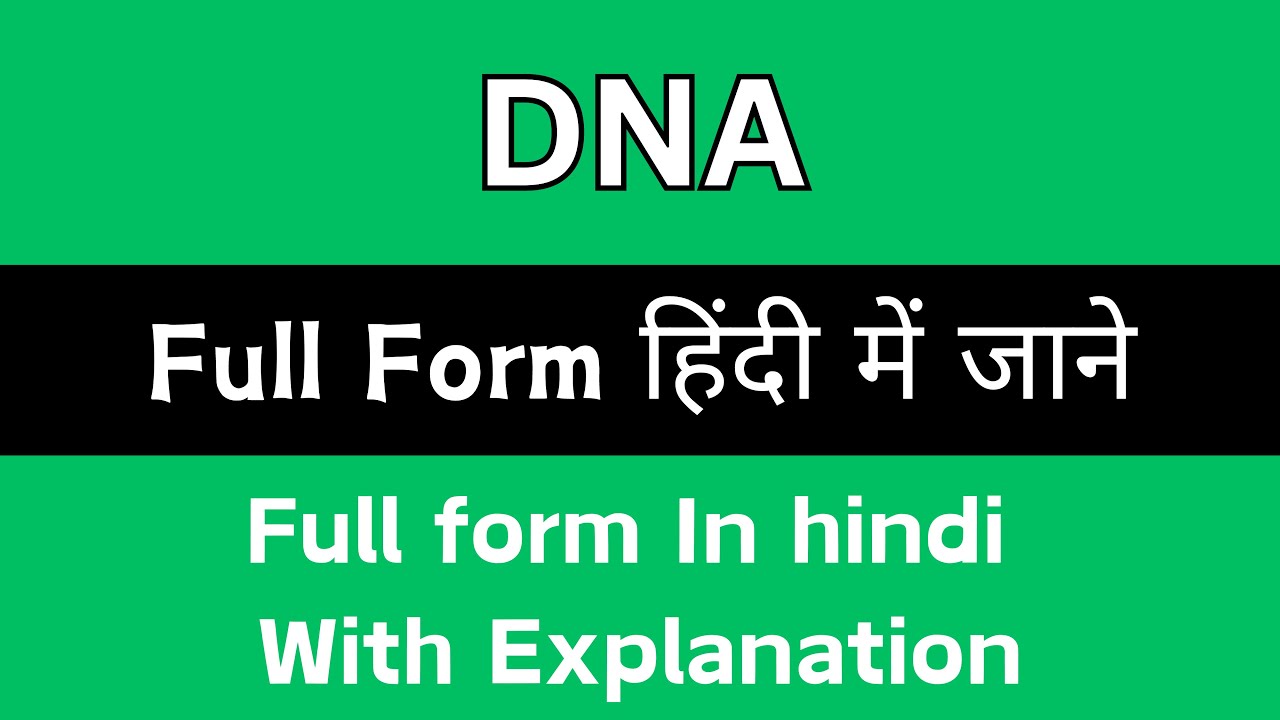 Full Form Of DNA In Hindi DNA YouTube Full Form Of DNA In Hindi DNA YouTube