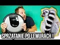 NAJDROŻSZY ROBOT SPRZĄTAJĄCY KONTRA LEMURY ! ROOMBA i7, CZY WARTO ?!