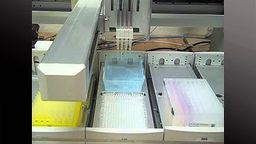 A Mathematica-Based Research Workflow at Work