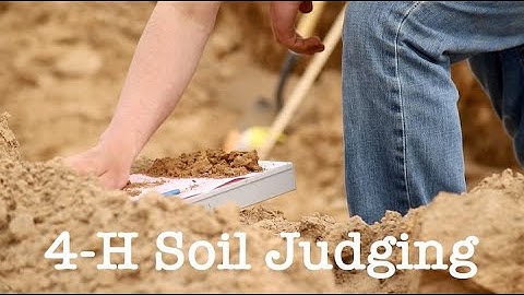 4-H Soil Judging