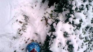 VID-20120121-00000