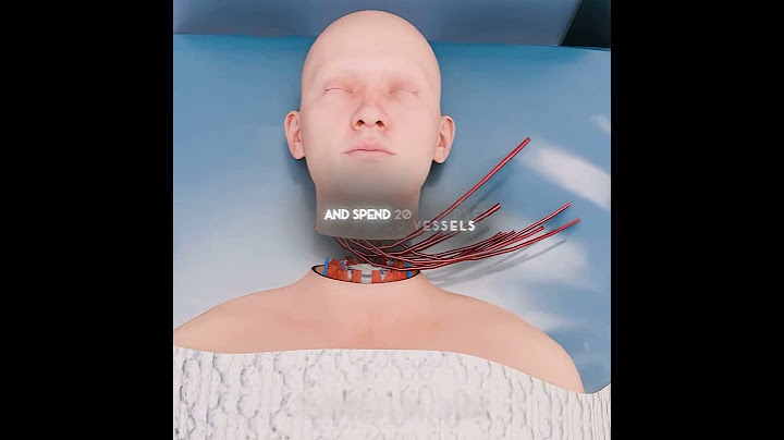 The 1970 Monkey Head Transplant Experiment