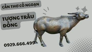 TƯỢNG TRÂU ĐỒNG | CLIP NGÀY 22/12/2023 | CẦN THƠ CỔ NGOẠN #đồcổ #canthocongoan #doxua